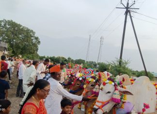 वांजरी येथे शेतकरी राज्याच्या वतीने बैलपोळा साजरा