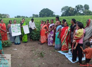 वांजरी येथे कृषी संजीवनी प्रकल्प