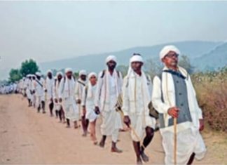 व्याघ्र क्षेत्रात मेसराम आदिवासींचा प्रवेश